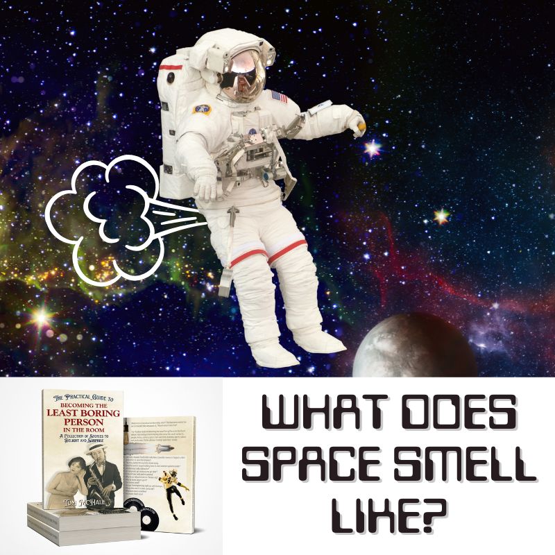 The Practical Guide to Becoming the Least Boring Person in the Room - Tom McHale's Practical Guides