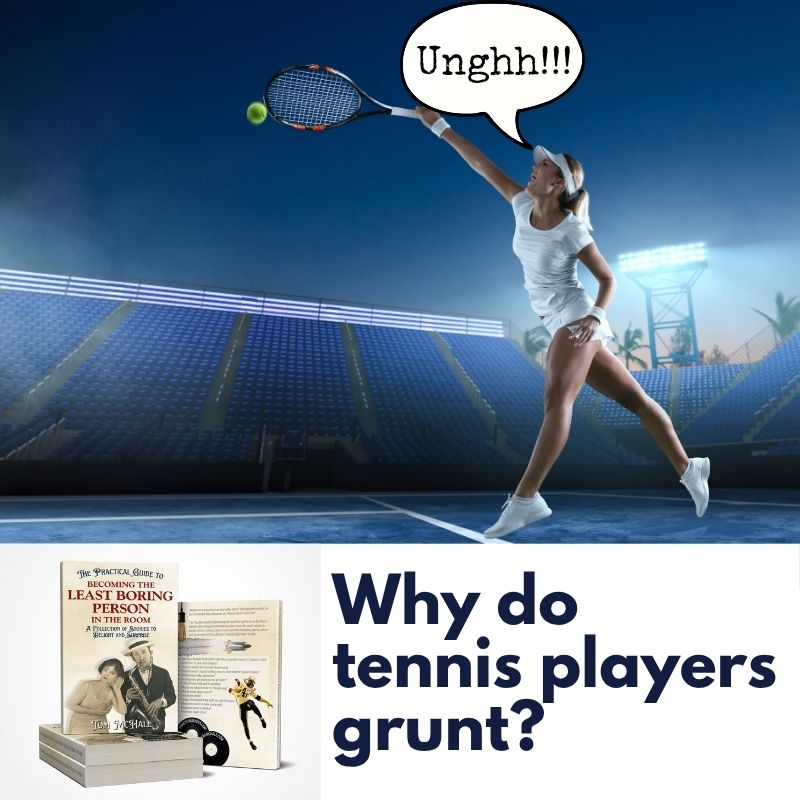 The Practical Guide to Becoming the Least Boring Person in the Room - Tom McHale's Practical Guides